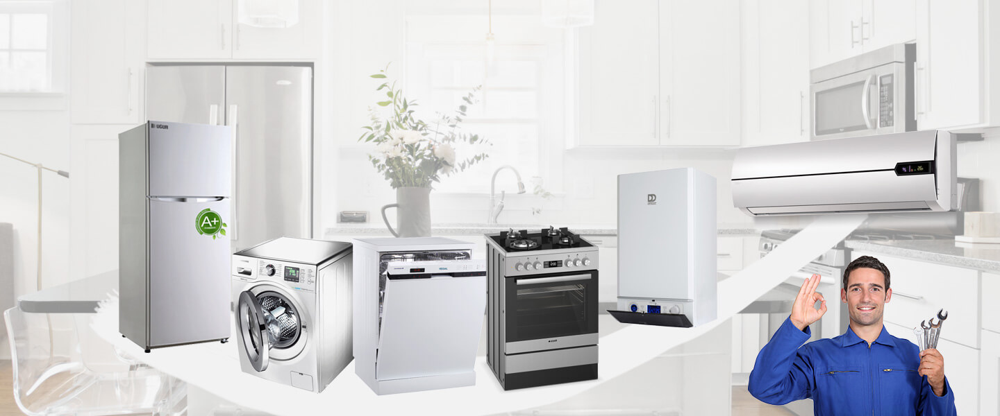 Derbent Warmhaus Servisi